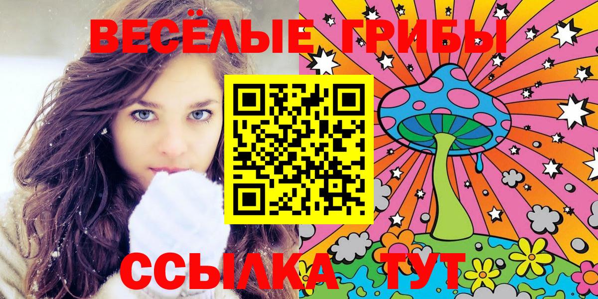 закладки  Вход с VPN  Бутурлиновка  Псилоцибиновые грибы Psilocybe 